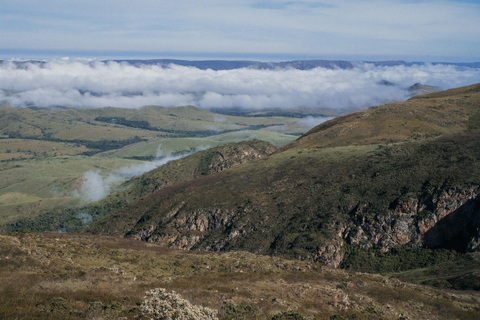 From São Paulo: 5-Day Serra da Canastra Wildlife Safari