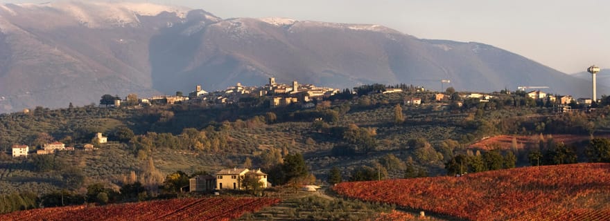 Dégustation et visite de la cave