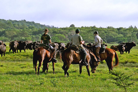 Arusha: Horseback Riding Safari in Dolly Estate