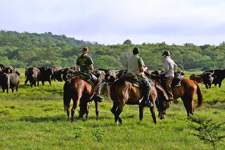 Arusha: Horseback Riding Safari in Dolly Estate