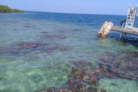 Bocas del Toro: Zapatilla Key, Dolfijn Baai, Koraal Toets