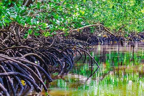 Zanzibar : Safari Blue, l'aventure maritime traditionnelle en boutre.