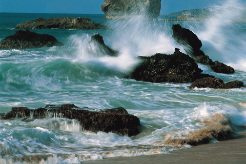 From Taipei: Private 4-Day West & South Taiwan Tour SOLO Traveler