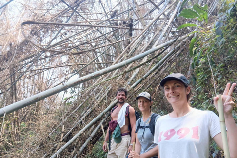 Chiang Rai: Hill Tribe Trek, Waterfall, & Hot Springs Tour