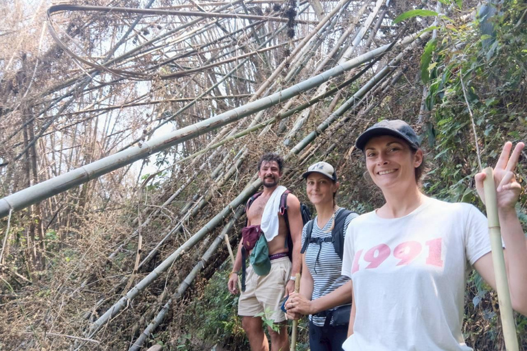 Chiang Rai: Hill Tribe Trek, Waterfall, & Hot Springs Tour
