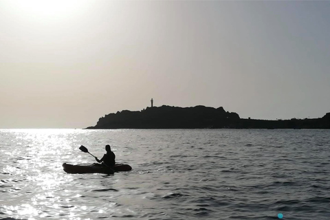 Punta de Teno: Safari en kayak por los acantilados de Los Gigantes