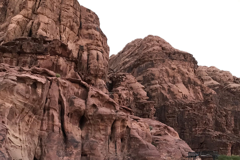 Wadi Rum: Desert Camp Tour With Jeep Safari And Star Gazing: