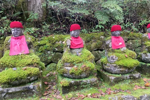 Tokyo: Tour privato di un giorno su misura di Nikko con Premium Vellfire
