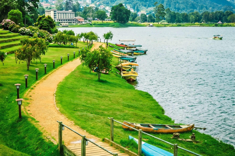 Nuwara Eliya To Ella With Pure Magical Mountain Way Kandy To Ella drop-off (Optional Nanuoya train ride)
