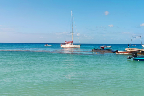 Saona Island: Private Yacht Tour with Lunch & Pickup