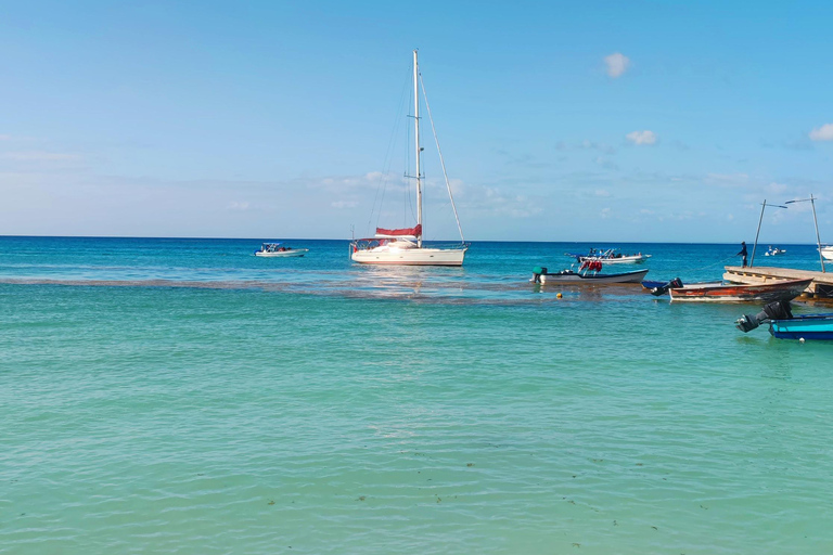 Saona Island: Private Yacht Tour with Lunch & Pickup