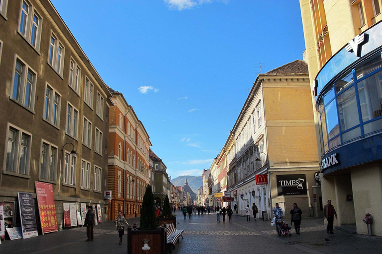 Bucharest Private: Peleș Castle, Bran Castle, Brașov Tour