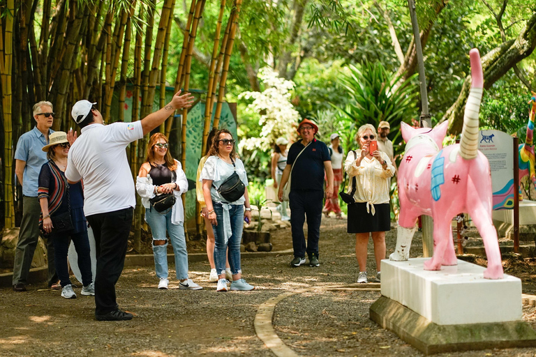 Cali Historic Walking Tour: Culture, Salsa & Landmarks