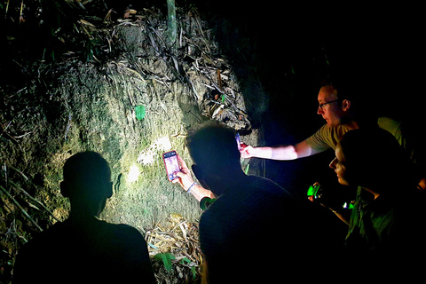 Khao Sok: Half-Day & Night Wildlife Trek and Jungle Dinner Option 6: Half-Day & Night Trek with Dinner From Khao Lak