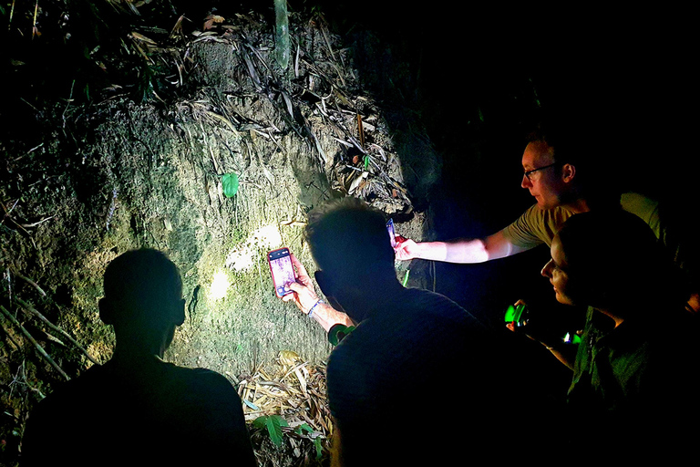 Khao Sok: Half-Day & Night Wildlife Trek and Jungle Dinner Option 6: Half-Day & Night Trek with Dinner From Khao Lak