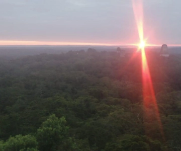 From Flores: Tikal Sunset Tour