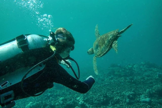 Visit Hilo 1-Tank Certified Beach Dive at Sea Turtle Cove in Hilo, Hawaii