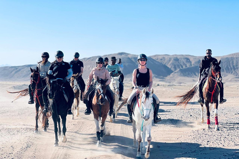الغردقة: جولة ركوب الخيل في الصحراء والبحر مع خيار السباحةجولة لمدة ساعتين لركوب الخيل بدون السباح
