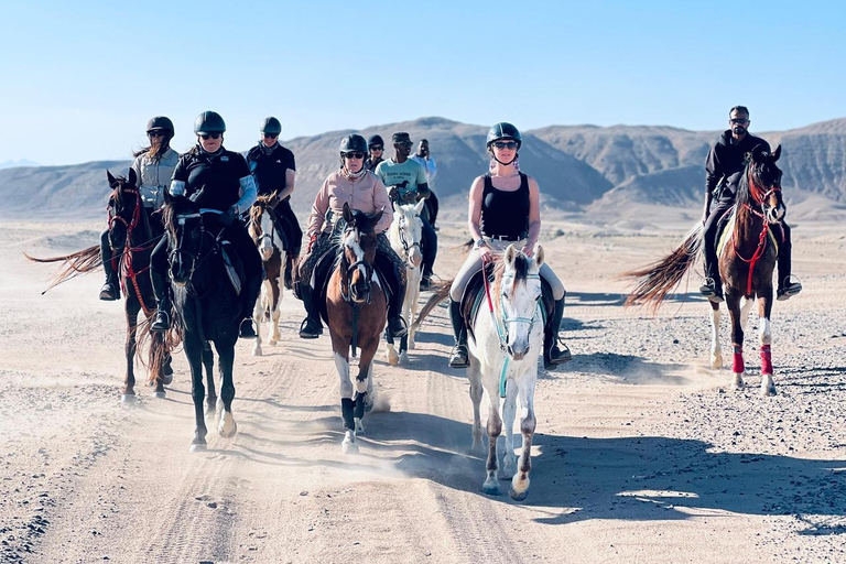 الغردقة: جولة ركوب الخيل في الصحراء والبحر مع خيار السباحةجولة لمدة ساعتين لركوب الخيل بدون السباح