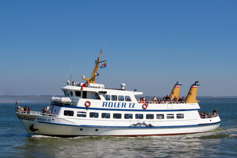 Kühlungsborn (boat station): Panoramic round trip to Warnemünde without going ashore Kühlungsborn (boat harbor): Panoramic cruise to Warnemünde without going ashore