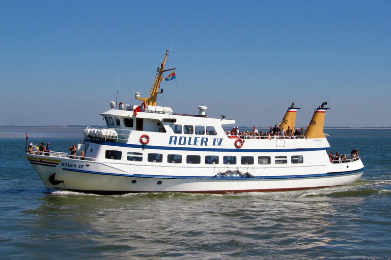 Kühlungsborn (boat station): Panoramic round trip to Warnemünde without going ashore Kühlungsborn (boat harbor): Panoramic cruise to Warnemünde without going ashore