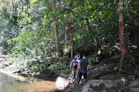 辛哈拉加雨林之旅