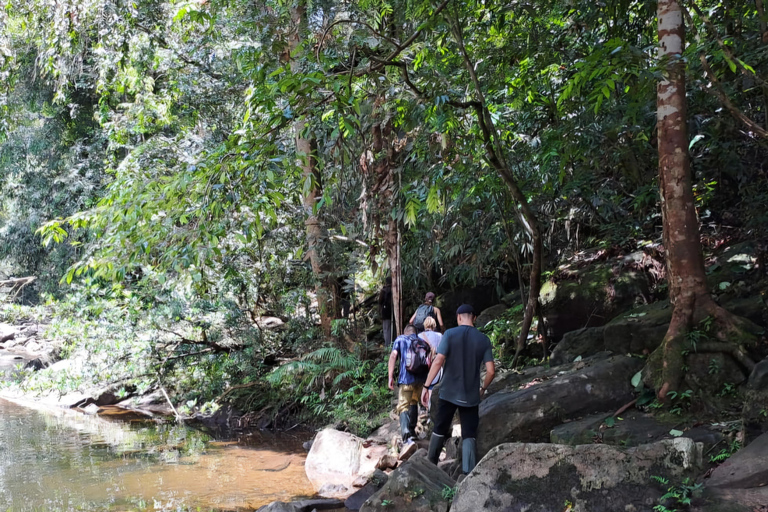 辛哈拉加雨林之旅