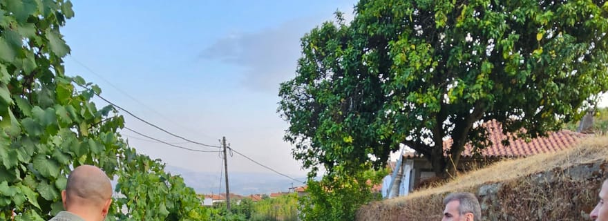 Visite d'une quinta traditionnelle avec dégustation de vins - les animaux de compagnie sont les bienvenus