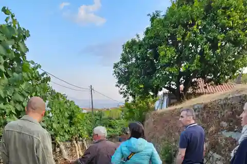 Visit Quinta de Sobre a Fonte with wine tasting and transportation