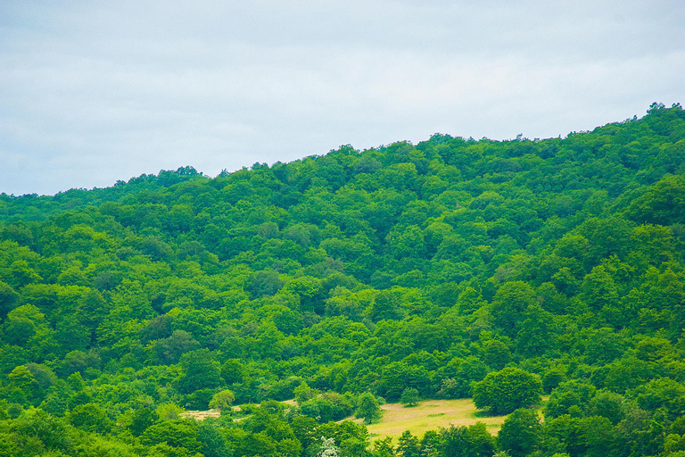 Bakú: Excursión de un día a Guba y Gusar con cocina local
