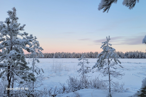 Rovaniemi: Ice Fishing, Snowmobile, and Net Fishing Tour