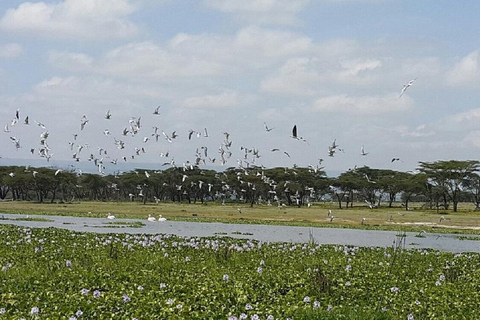 Nairobi: Hell's Gate & Lake Naivasha Day Trip with Boat Ride