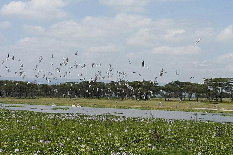 Nairobi: Hell's Gate & Lake Naivasha Day Trip with Boat Ride