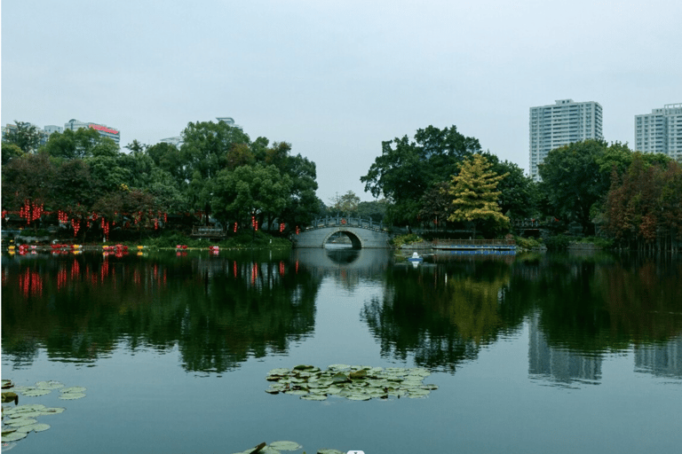 Guangzhou city highlights tour with dimsum lunch