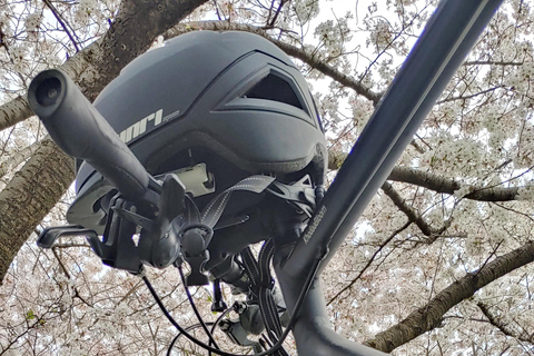 Kioto:Recorrido en Bicicleta por los Tres Jardines