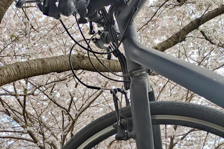 Kioto:Recorrido en Bicicleta por los Tres Jardines