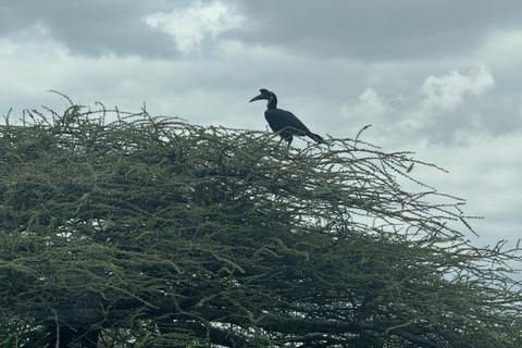 Addis Abeba: 3-tägige Tour zu den Seen des Rift Valley mit Guide