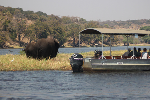 Wycieczka 1-dniowa do Chobe