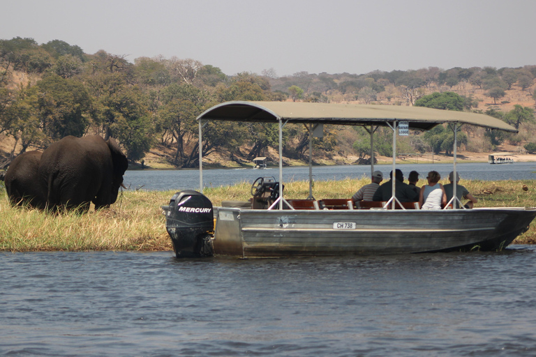 Chobe förlängd dagsutflykt