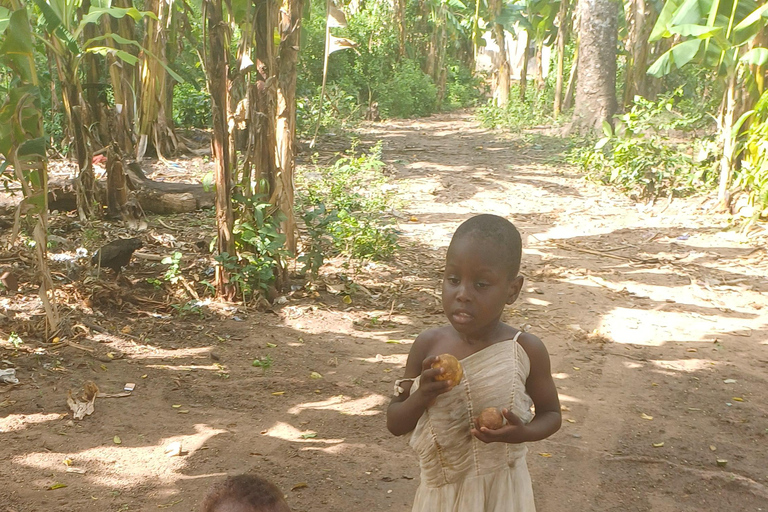 UZI ISLAND MANGROVE CONSAVATION WITH KAYAK TOUR PRIVATE TOUR WITH TRANSFER INCLUDED