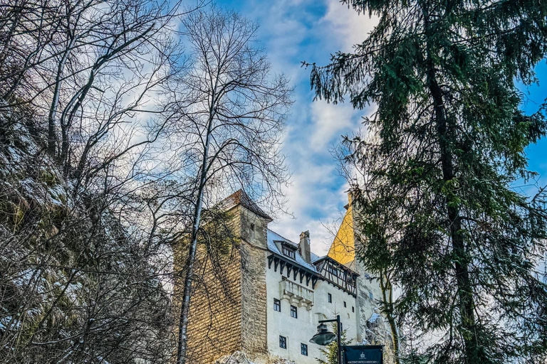 Brașov: Bear Sanctuary and Bran Castle With Tickets