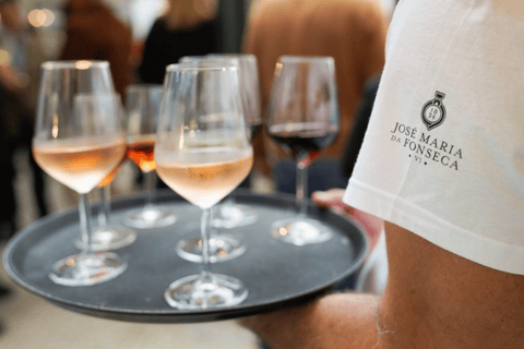 From Lisbon: Serra da Arrábida, Sesimbra, and Setúbal Wines Exclusive Private Tour