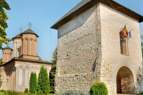 Private Tour from Bucharest to Dracula&#039;s tomb and Mogosoaia