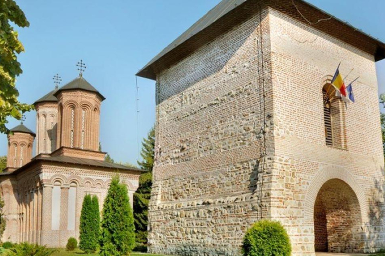 Private Tour from Bucharest to Dracula's tomb and Mogosoaia