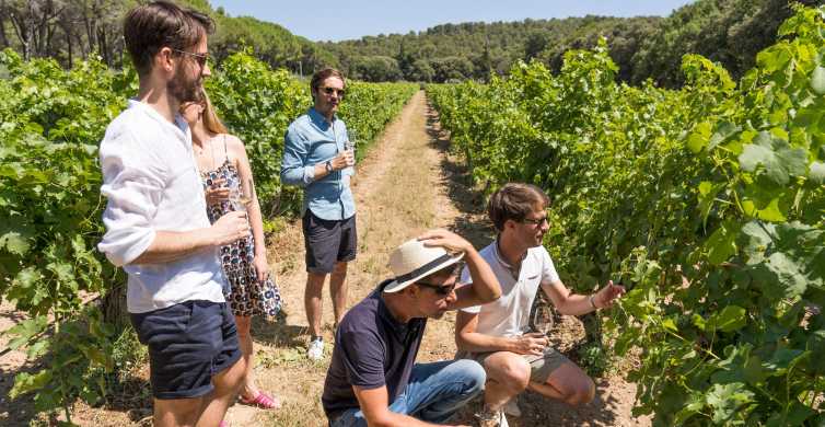 De Aix-en-Provence: Passeio de vinho no campo de Cézanne