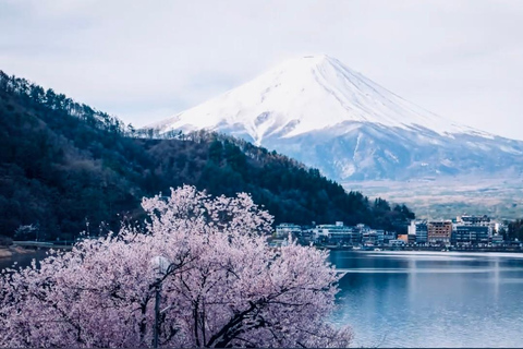 Tokio: Private Tagestour zum Mt.Fuji mit englischsprachigem Fahrer