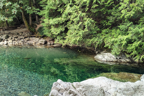 Grouse Mnt+StanleyPark+Hatchery+Cleveland Dam+LynnCanyonTOUR Shared Tour
