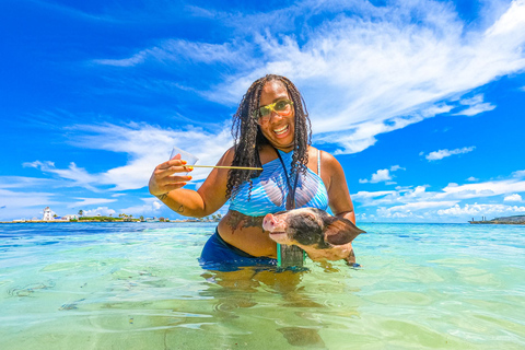 Nassau: Pigs Beach Trip by Boat with Swimming and Feeding