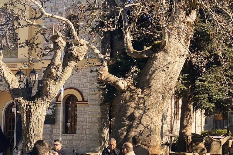 Athens: Kalavrita UNESCO Global Geopark & Pounta Beach Swim