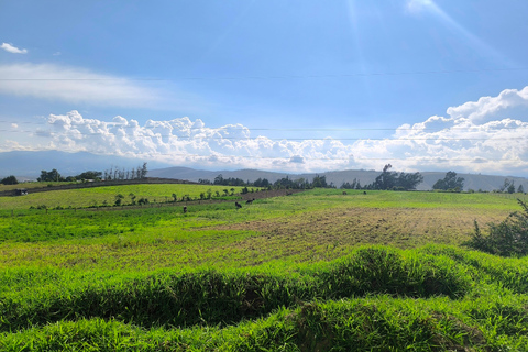 Quito: Latacunga, Pujilí, and Isinche Day Trip with Lunch
